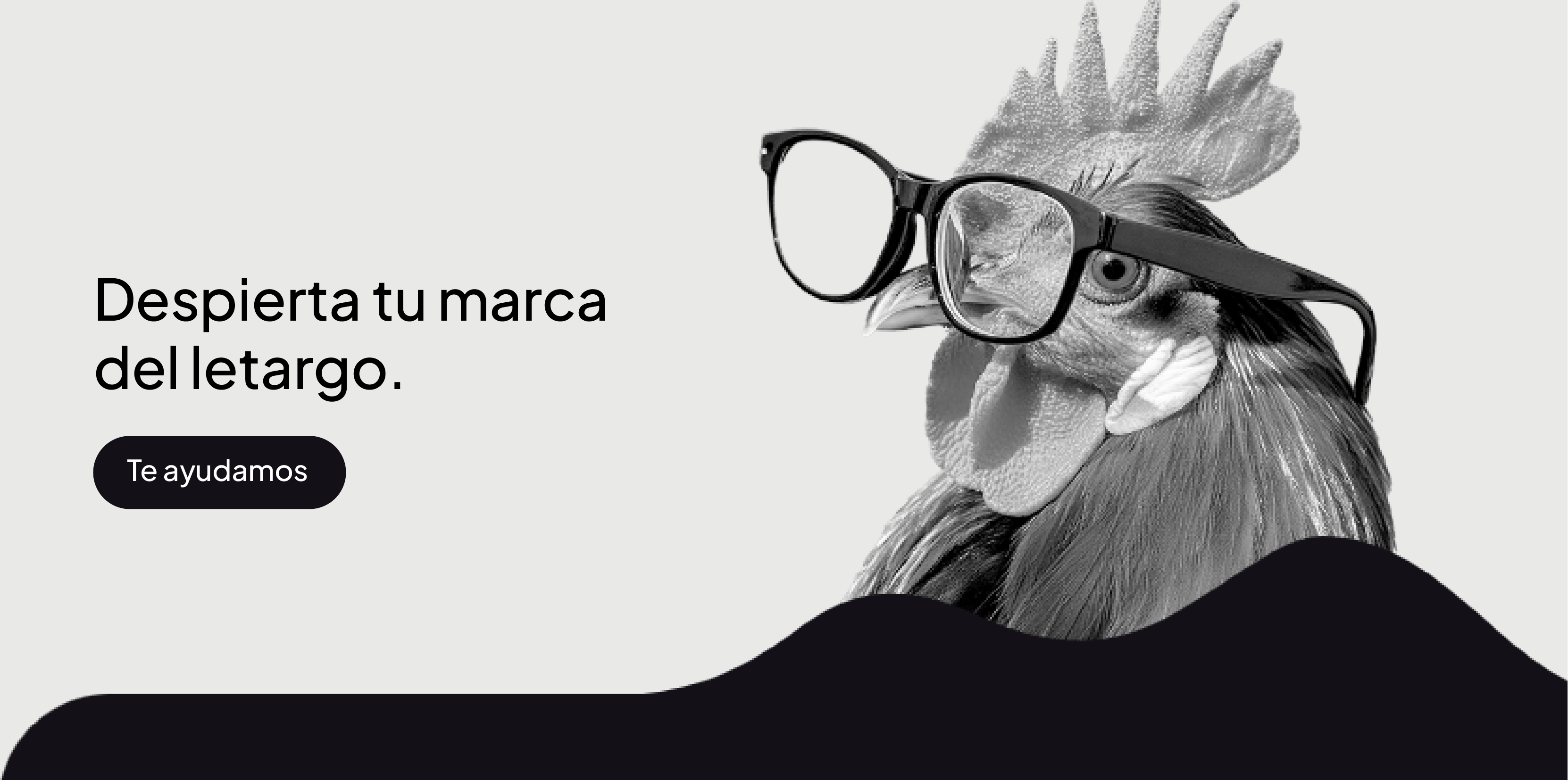 Cuánto tiempo tarda un proyecto de branding - Kirikrí Studio Madrid