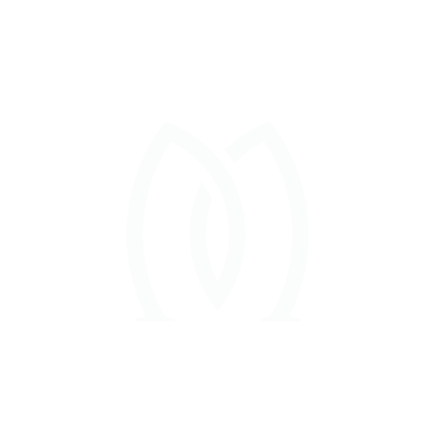 Logo Animado